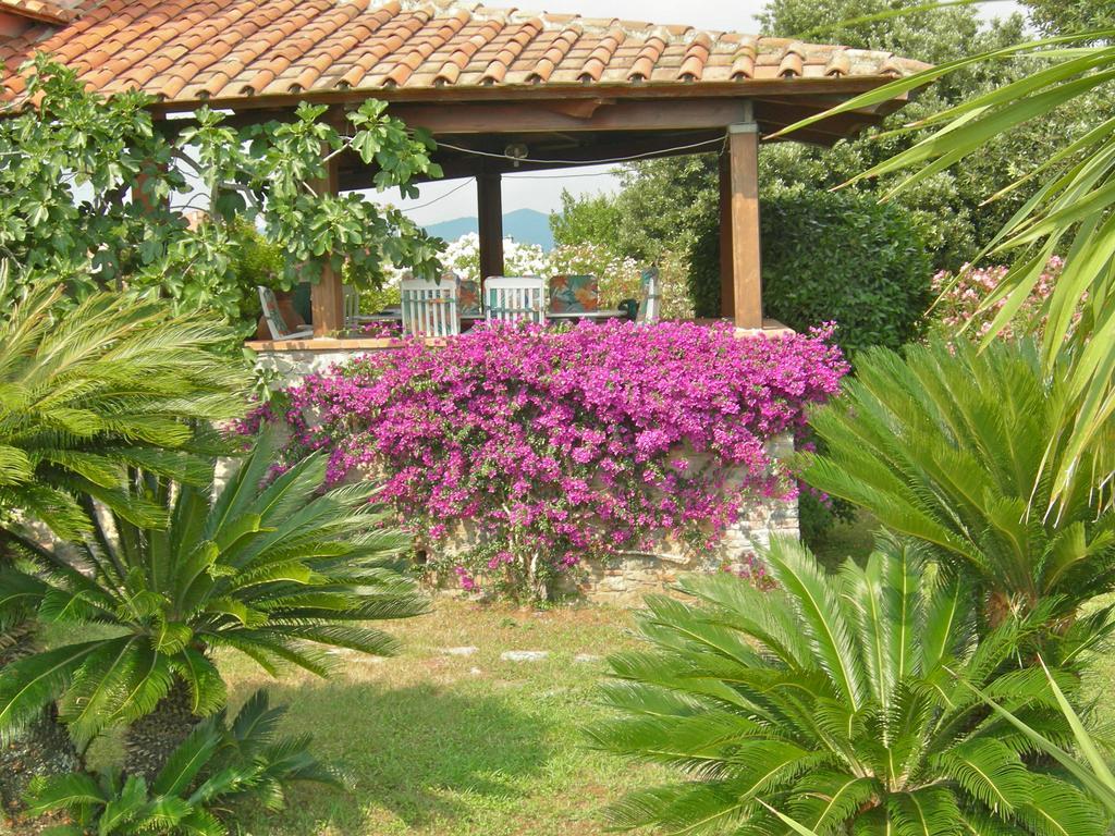 B&B Le Palme Ameglia Buitenkant foto