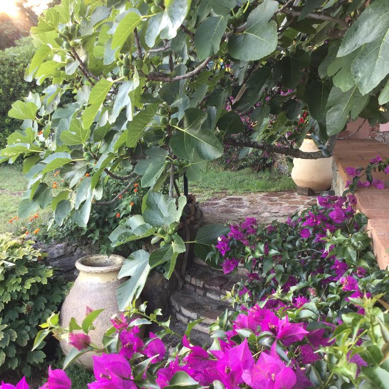 B&B Le Palme Ameglia Buitenkant foto
